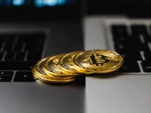 Warum Bitcoin Casinos für Einsteiger zunehmend relevant werden